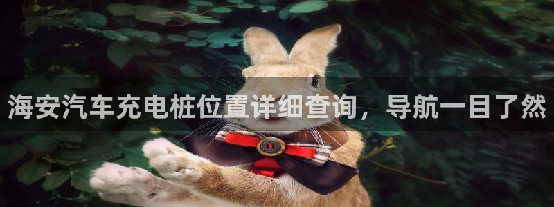 威廉希尔中文网站是不是真的：海安汽车充电